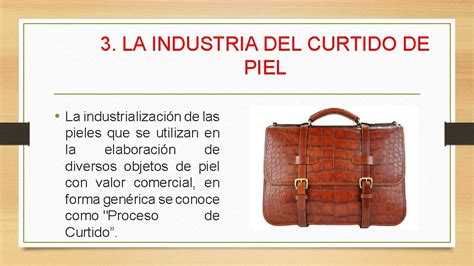 Industria Del Curtido De Pieles 1 Introduccin La