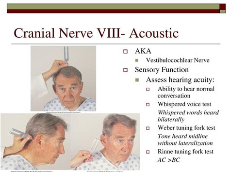 Ppt Cranial Nerve Function Aandp Review Powerpoint Presentation Id3662358