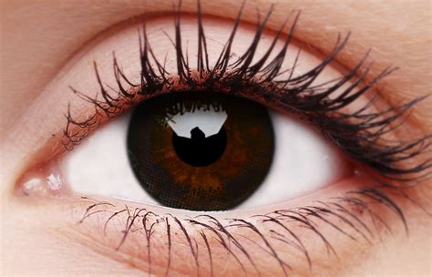 Colourvue Awesome Black Coloured Contact Lenses