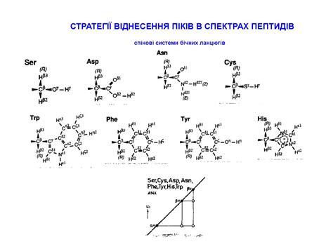 Елементи вторинної структури пептидів і білків - презентация онлайн