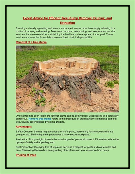 PPT Expert Advice For Efficient Tree Stump Removal Pruning And