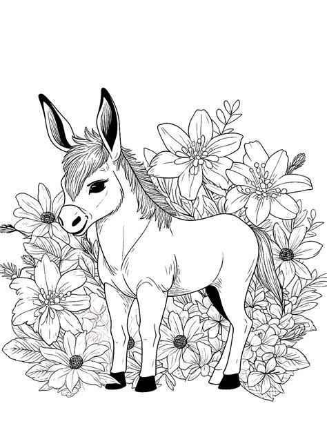 Desenhos De Burro Para Colorir Coloringpagesonly