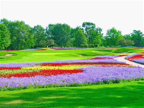 Top 20 Golf Course Curios Part1 Golfpunkhq
