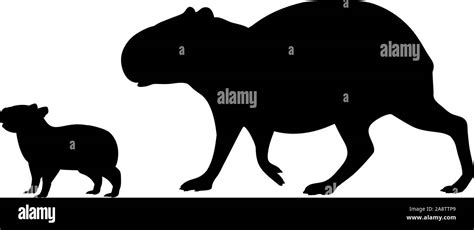 Capybara silhouette Cut Out Stock Images & Pictures - Alamy