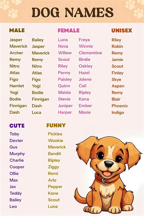 names  male dogs artofit
