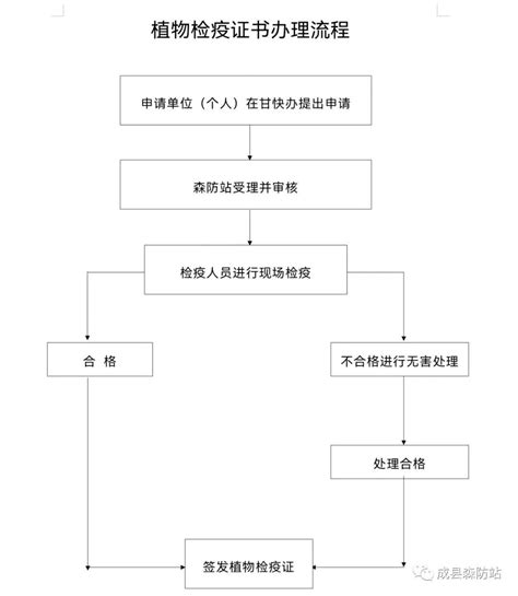 三抓三促”进行时] 成县加强林业植物检疫 严防有害生物侵入传播 Isenlin Cn