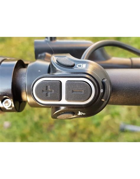 Vélo Cargo électrique Vogue Carry 2 Gris 2024