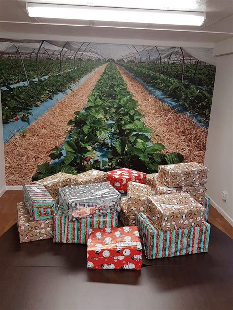 Shoe Box Appeal New - Place UK