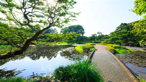 9 Best Parks And Grand Green Spaces To Enjoy In Tokyo