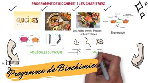 Programme Des Cours De Biochimie Les Glucides Lipides Acides