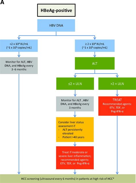 Management Of Chronic Hepatitis B An Overview Of Practice Guidelines