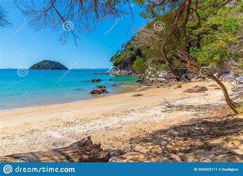 Onetahuti Beach At Abel Tasman National Park In New Zealand Stock Image