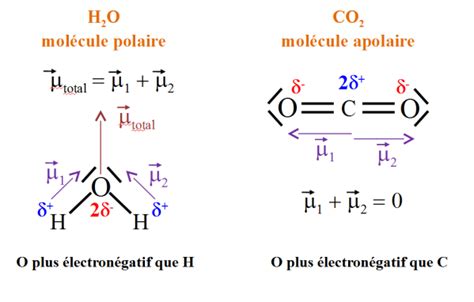 Molecule Polaire Et Apolaire Difference