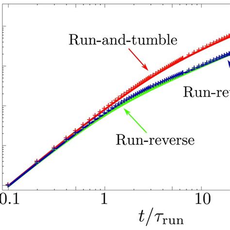 Mean Squared Displacement Msd The Curves Of The Normalized Msd