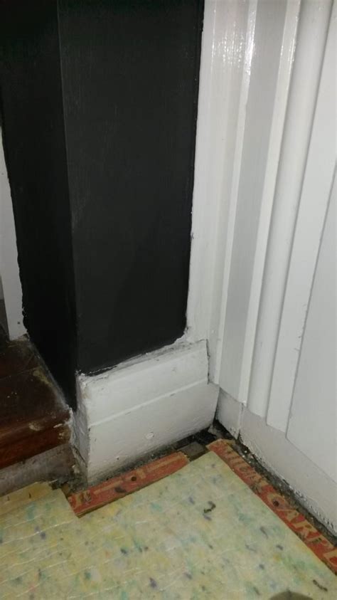 damp patch   rains diynot forums