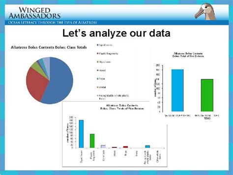 Lesson Bolus Analysis Lesson Presentation Content