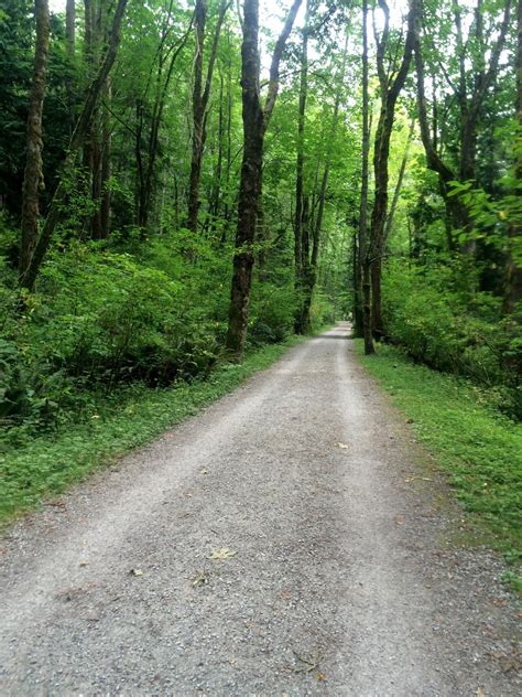 Hears Different Drummer Interurban Trail Running Spartan Training