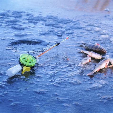 Pesca De Inverno Vara De Pesca Para A Pesca De Inverno E Buraco No