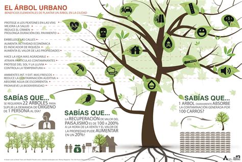 beneficios de los árboles Urban tree Green city Sustainable