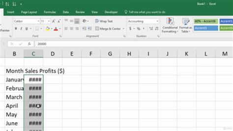 Microsoft Excel Excel Basics Beginner Course