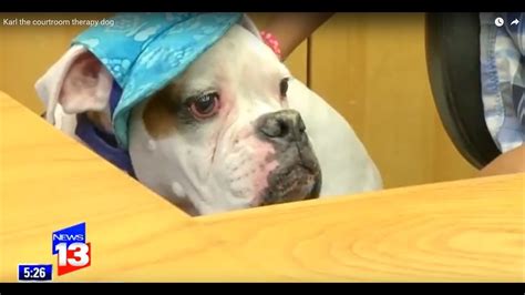 Karl The Courtroom Therapy Dog Helps Children Testify Youtube