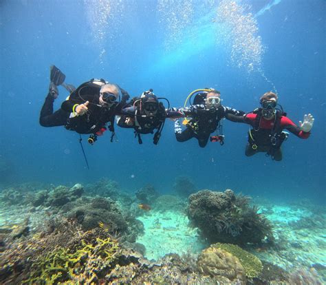 Bali’s Seasonal Marine Life: What to See and When - Zero Gravity Diving