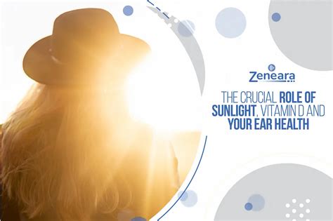 The Crucial Role Of Sunlight Vitamin D And Your Ear Health Zeneara