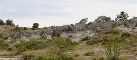 Les Tranges Rochers Des Mourres Forcalquier Alpes De Haute Provence