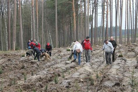 Archiwalne Praca Dorywcza Praca Fizyczna Konin