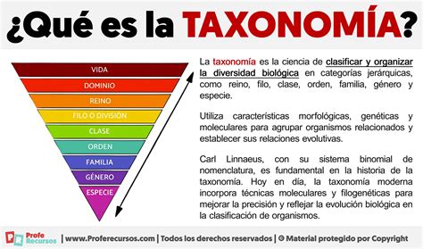 Qu Es La Taxonom A Definici N De Taxonom A