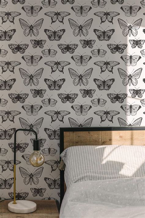 White And Black Butterfly Wallpapers
