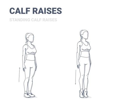 Calf Raises Exercise Vector Images