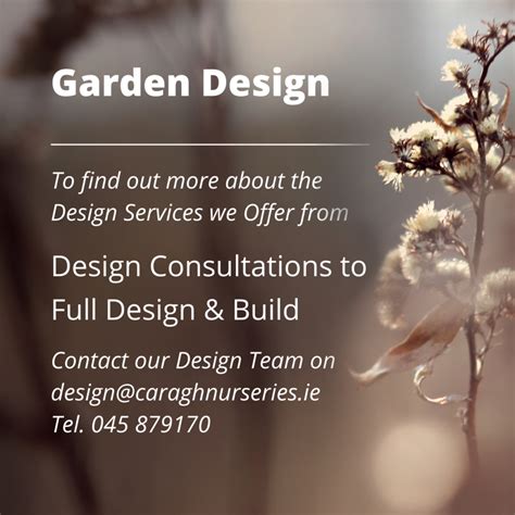 Design Caragh Nurseries