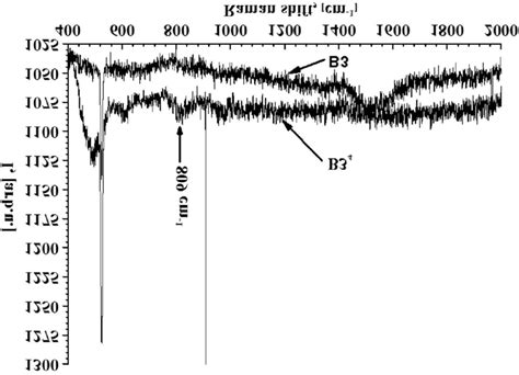 Comparison Of Two Rs Spectra In Spectral Range Cm For The