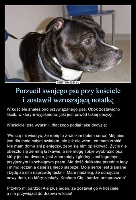 Porzuci Swojego Psa Przy Ko Ciele I Zostawi Wzruszaj C Notatk