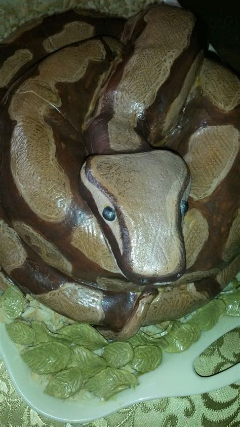 Snake Cake Royal Python Chocolate Birthday Cake Snake Cakes