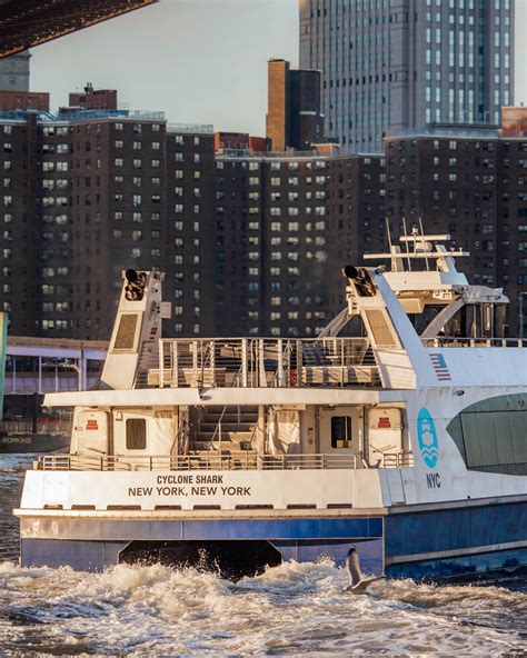 Meet the Fleet: New Names Coming to NYC Ferry Vessels - New York City ...