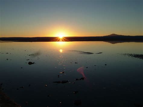 Lagunas Altipl Nicas Salar De Atacama Y Piedras Rojas Getyourguide