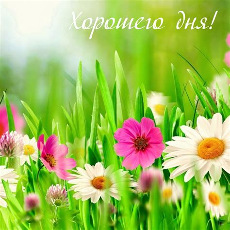 Картинки с надписью - Хорошего дня!.
