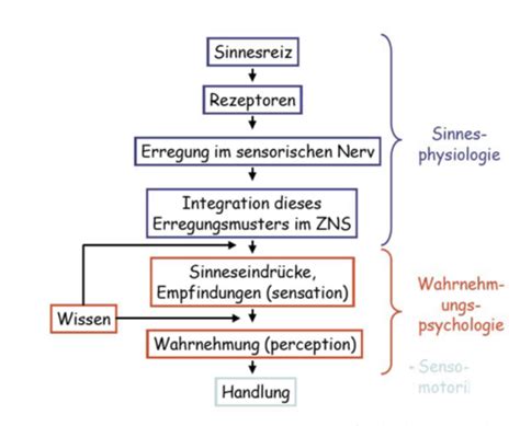 Allgemeine Psychologie Karteikarten Quizlet