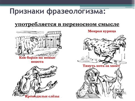 Фразеологизмы. Признаки фразеологизма - презентация онлайн