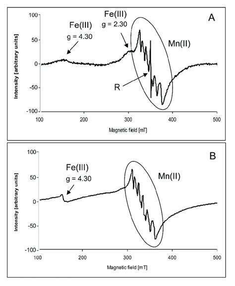 Example Of The Electron Paramagnetic Resonance Epr Spectra Of Wheat Download Scientific