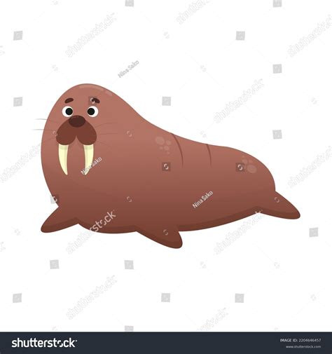 Cute Cartoon Walrus Vector Illustration Isolated Stock Vector Royalty