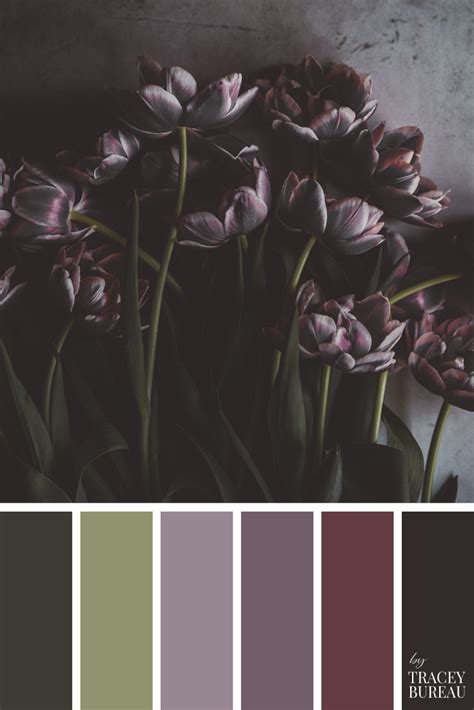 Purple Flowers Flat Lay Color Palette Color Scheme Green Purple