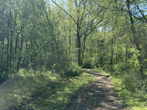 Best Walking Trails In Salt Lick Creek Recreation Area Alltrails