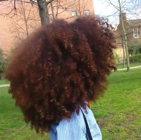 A Naturalistas Hairspiration [] In 2024 Natural Hair Styles Curly