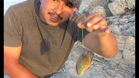How To Hook Live Bait Youtube
