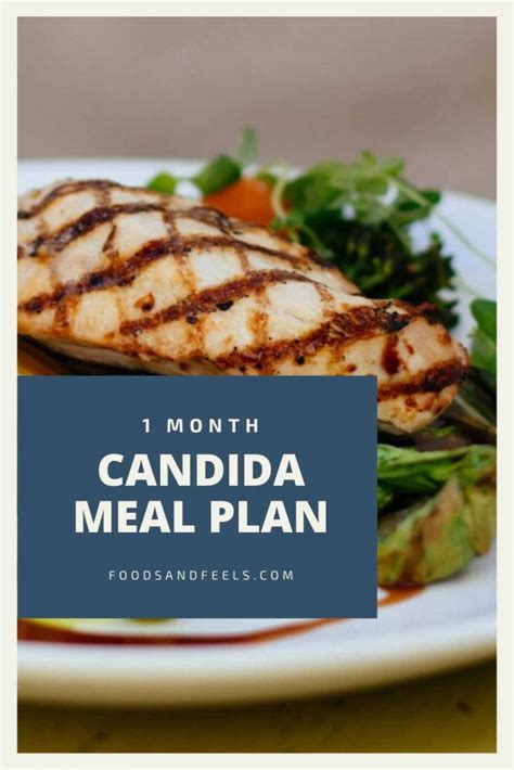 Easy Candida Diet Meal Plan Simple And Homemade Recipes