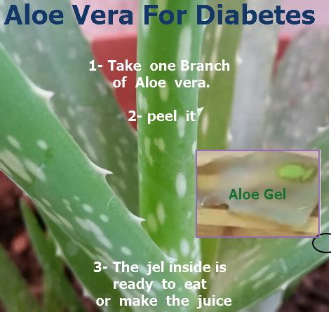 Diabetes Aloe Vera Juice Benefits!