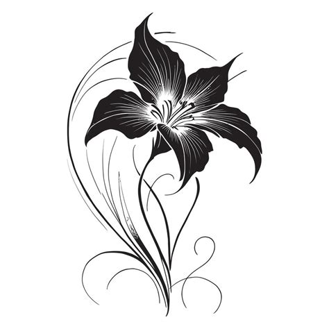 beautiful black  white flower drawing  minimalist designs